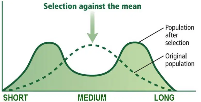 media image