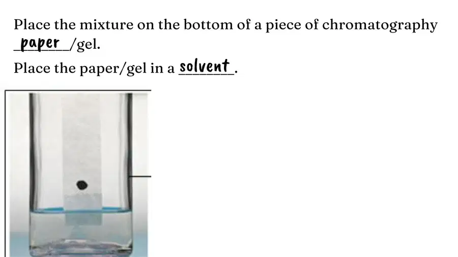 media