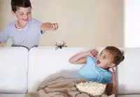 media
