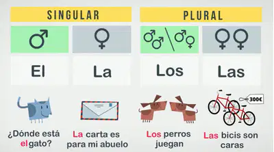 media