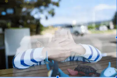 Quiz image