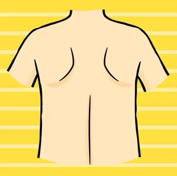 Media Image