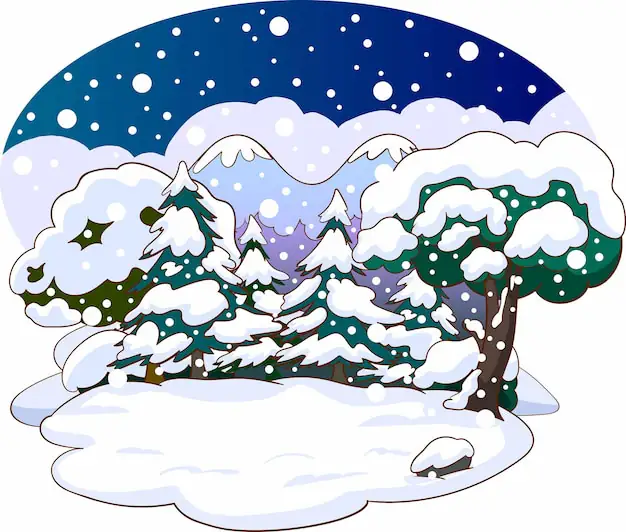 Media Image