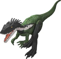 Media Image