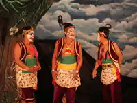 Media Image