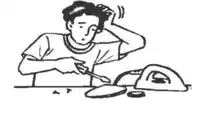 Media Image