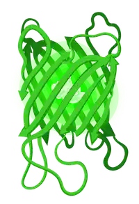 Media Image