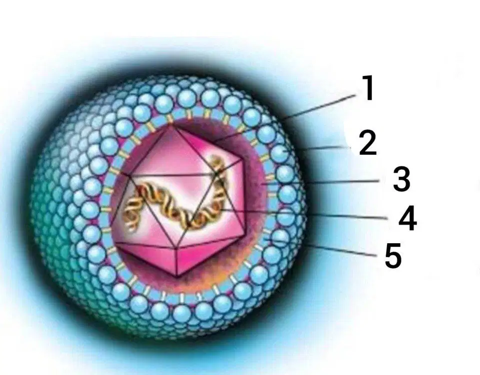 Question image
