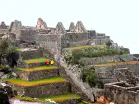 Media Image
