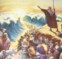 Media Image