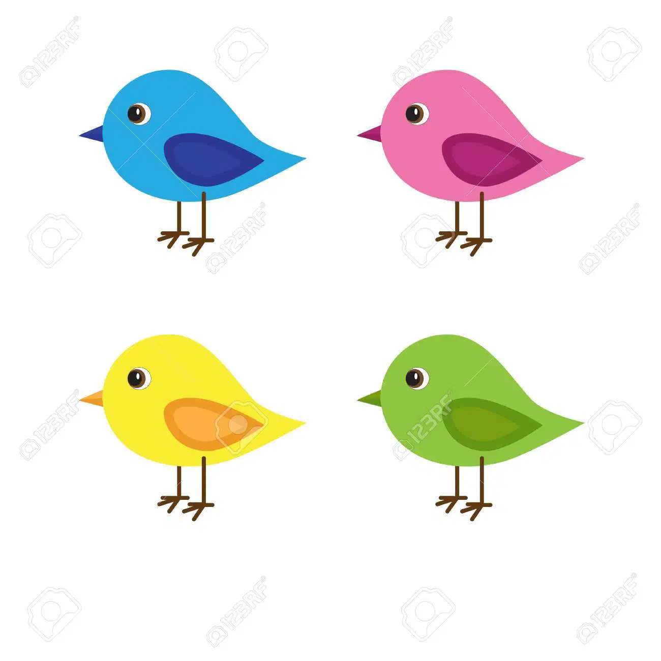 Media Image