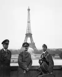 Media Image