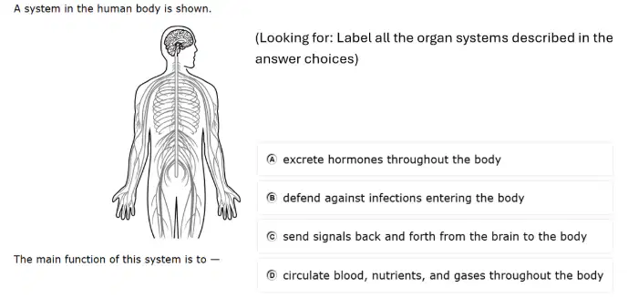 Question image