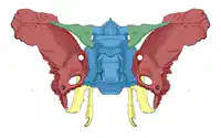 Media Image