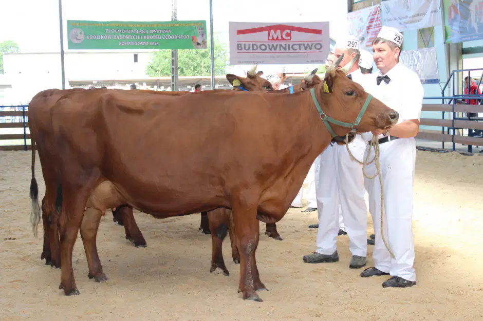 Media Image