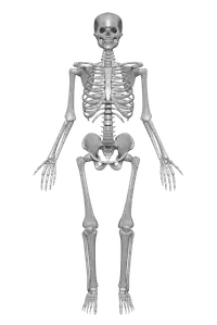 Media Image