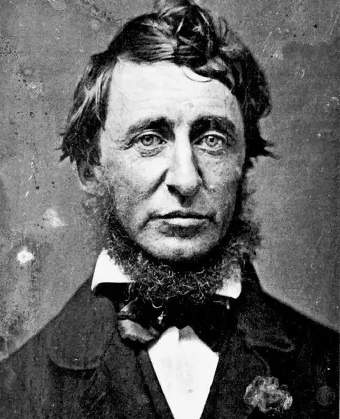 Media Image