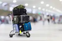 Media Image