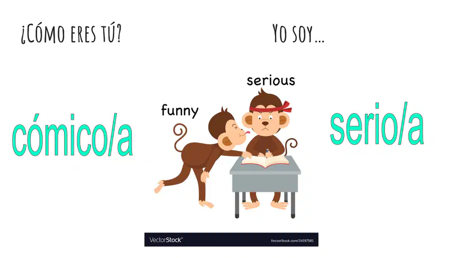 media
