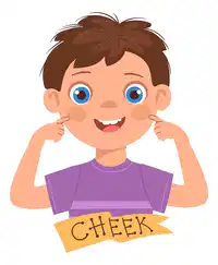 Media Image
