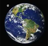 media