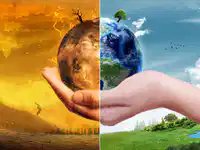 Media Image