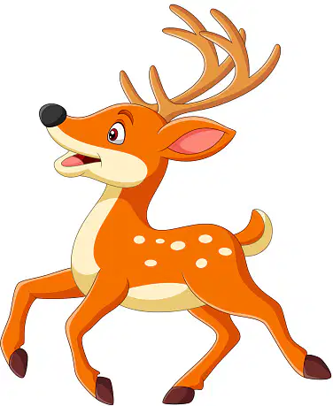 Media Image