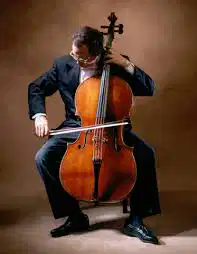 Media Image