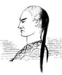 Media Image