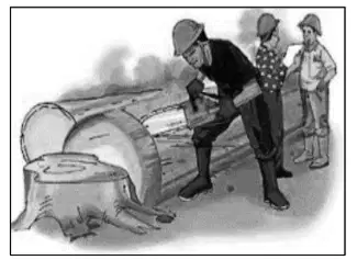 Media Image
