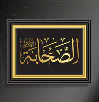 Media Image