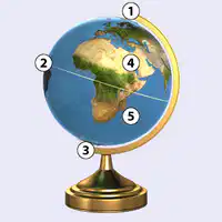 Media Image