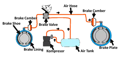 media
