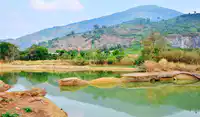 Media Image