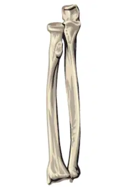 media image