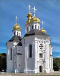 Media Image