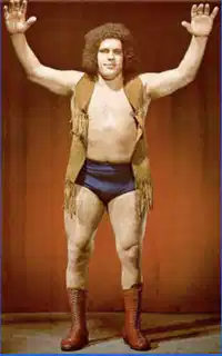 Media Image