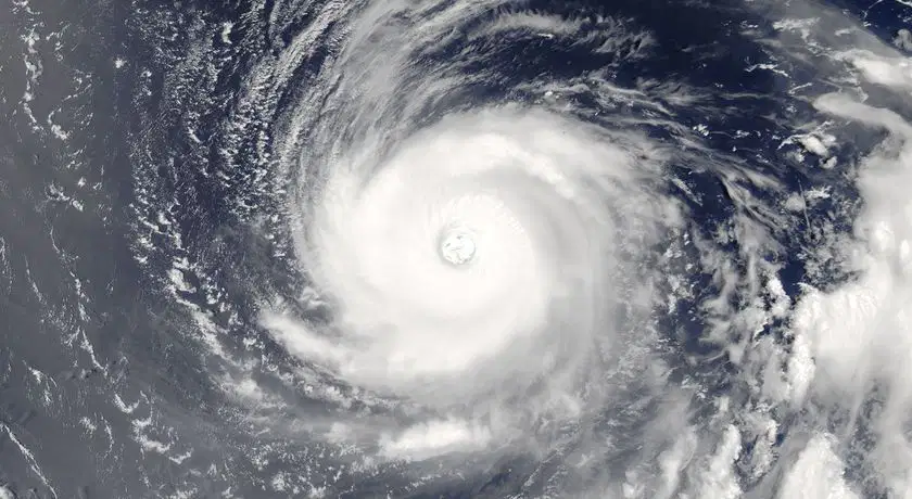 Media Image