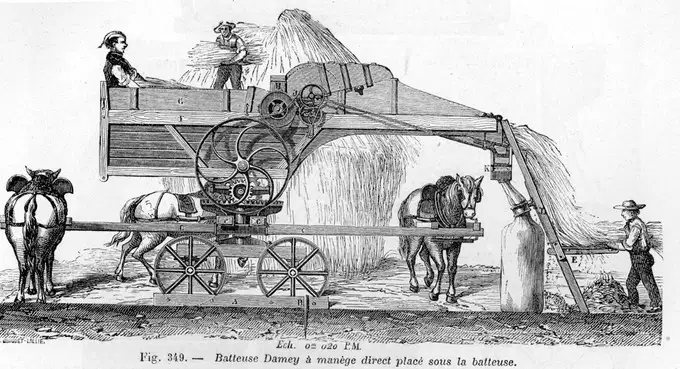 The Agricultural Revolution MCK 9th Grade Quiz | Wayground (formerly ...