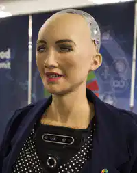 Media Image