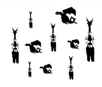 Media Image