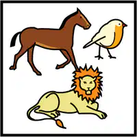 Media Image