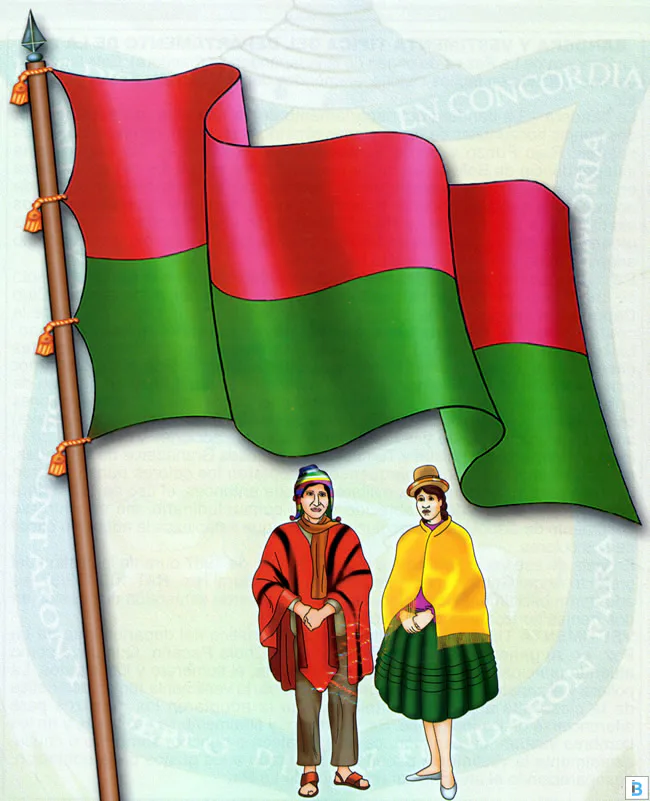 Media Image