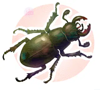 Media Image