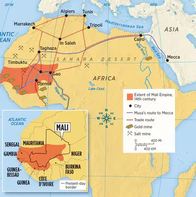 media
