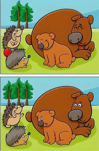 media