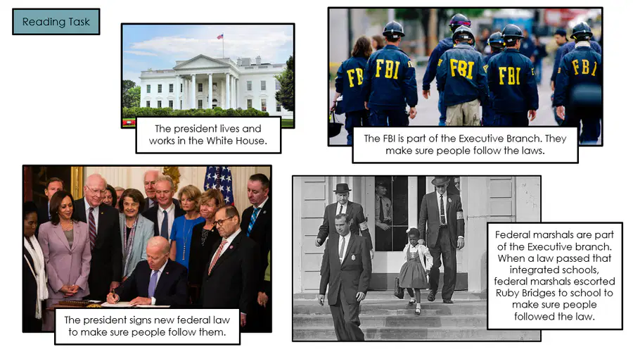 media