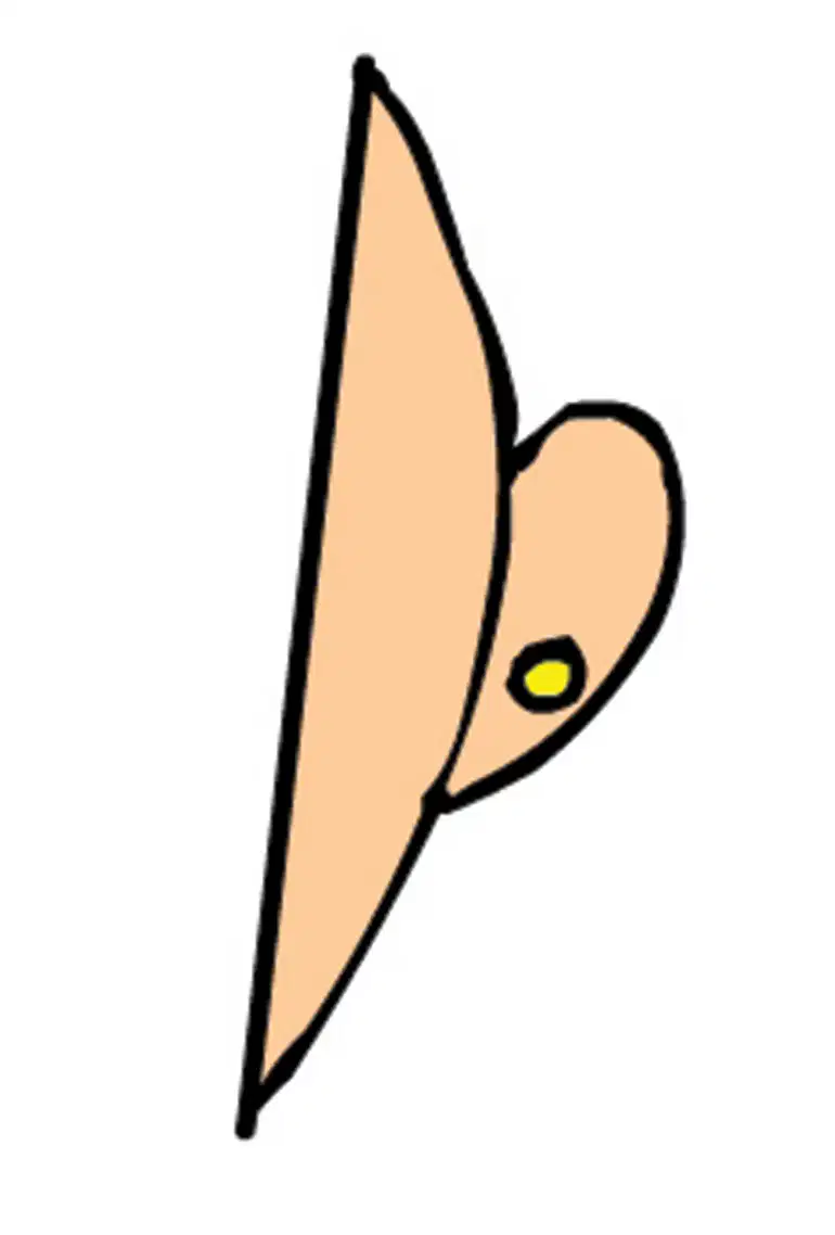 Media Image