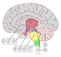 Media Image