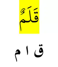 Media Image